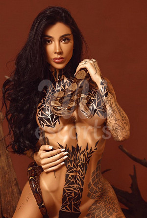 Ivy