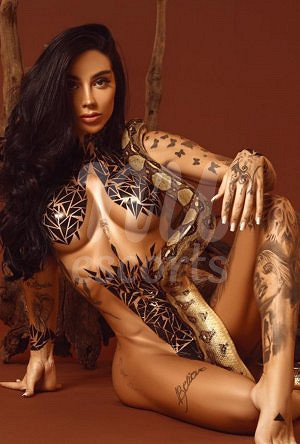 Ivy